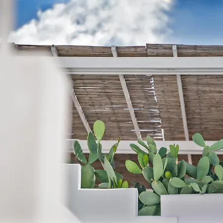 Relais Corte Palmieri & Il Chiostro - Residenza D'epoca 4* Gallipoli