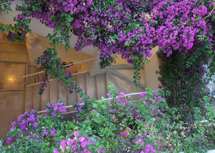 Hotell Relais Corte Palmieri & Il Chiostro - Residenza D'epoca Gallipolli